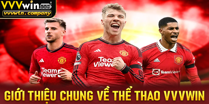 Giới thiệu chung về sảnh thể thao Vvvwin