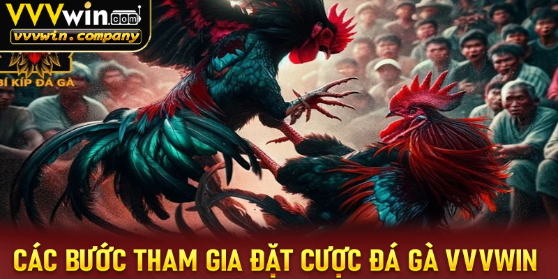 Các bước tiến hành đặt cược tại sảnh đá gà vvvwin